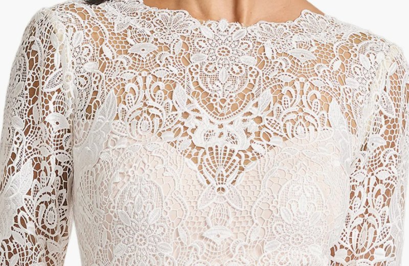 画像5: Tadashi Shoji タダシショージ  Vianne Lace Illusion Gown アイボリー、ブラック (5)