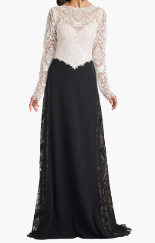 画像1: Tadashi Shoji タダシショージ  Vianne Lace Illusion Gown アイボリー、ブラック (1)