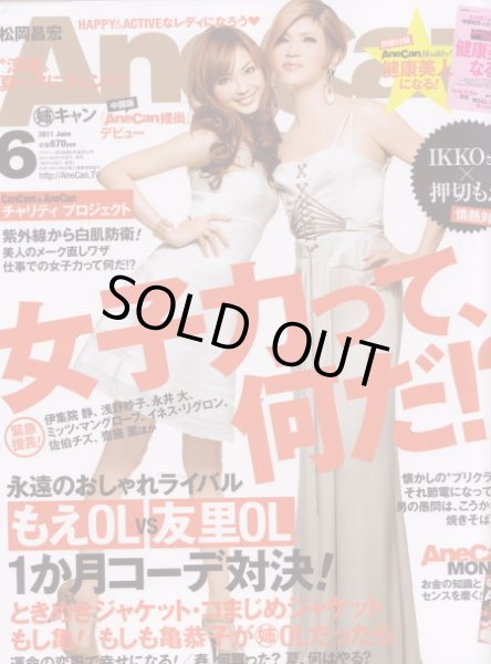 画像2: 【Anecan表紙、押切もえさん着用】BCBG MAXAZRIA   MORGANE SATIN AND LACE DRESS  (2)